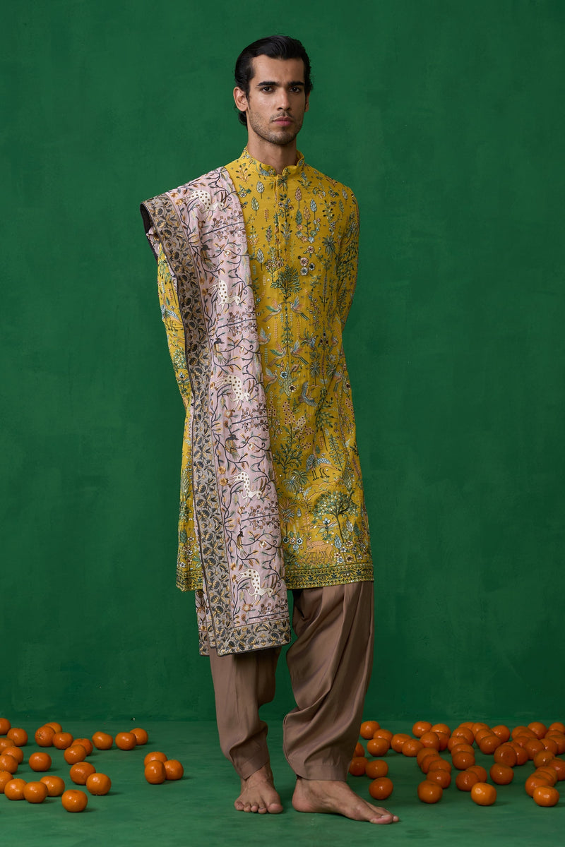 BIRD HALDI KURTA SET