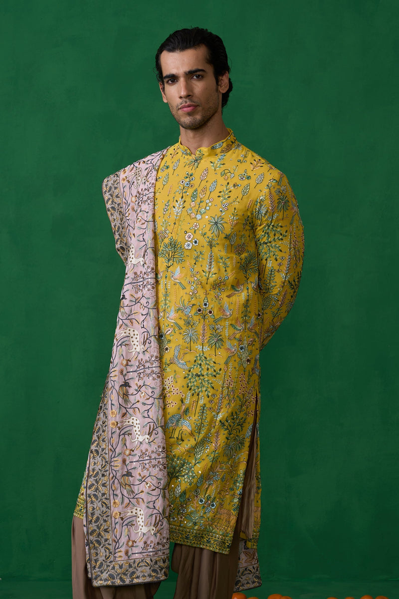 BIRD HALDI KURTA SET