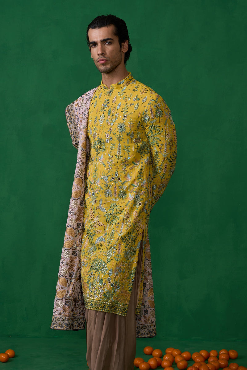 BIRD HALDI KURTA SET