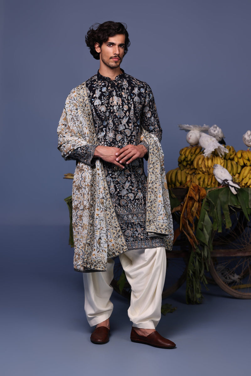 Aparshakti Khurana in Nawab navy blue Kurta Set