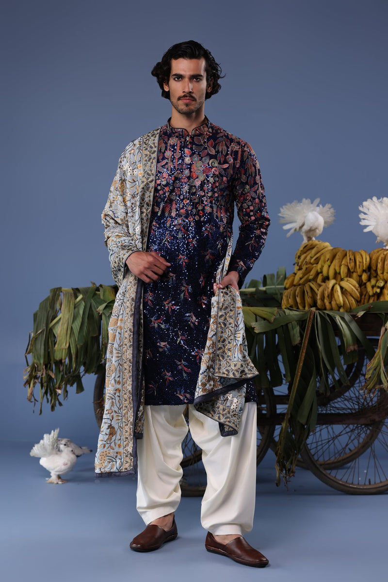 Aparshakti Khurana  in Mihir Blue Kurta Set