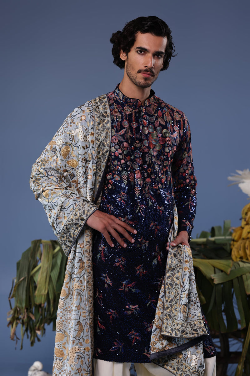 Aparshakti Khurana  in Mihir Blue Kurta Set
