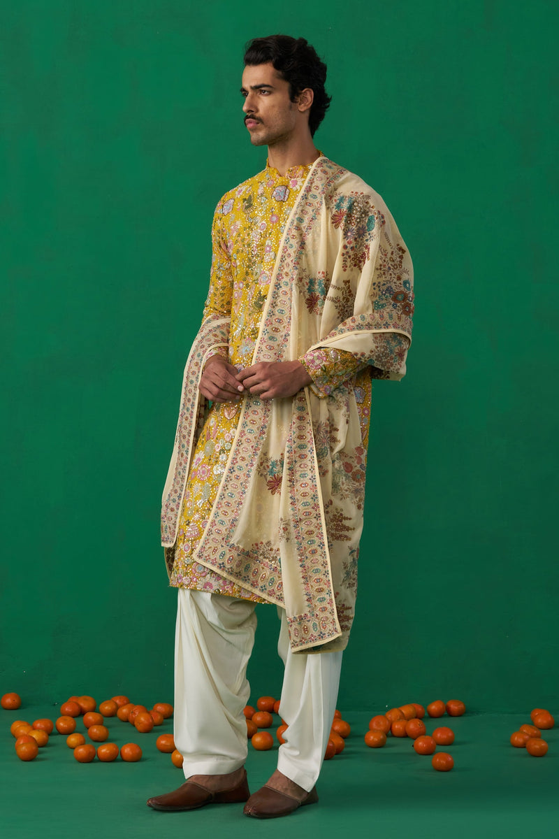 TANMAY BHATT IN PHOOLPANKH HALDI KURTA SET