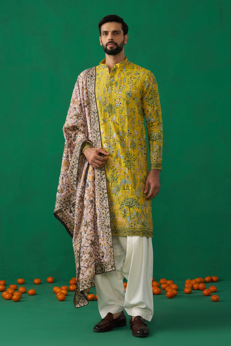 BIRD HALDI KURTA SET