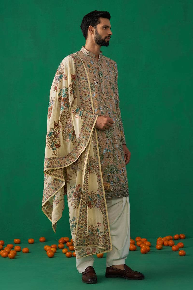 BIRD CHIKU KURTA SET