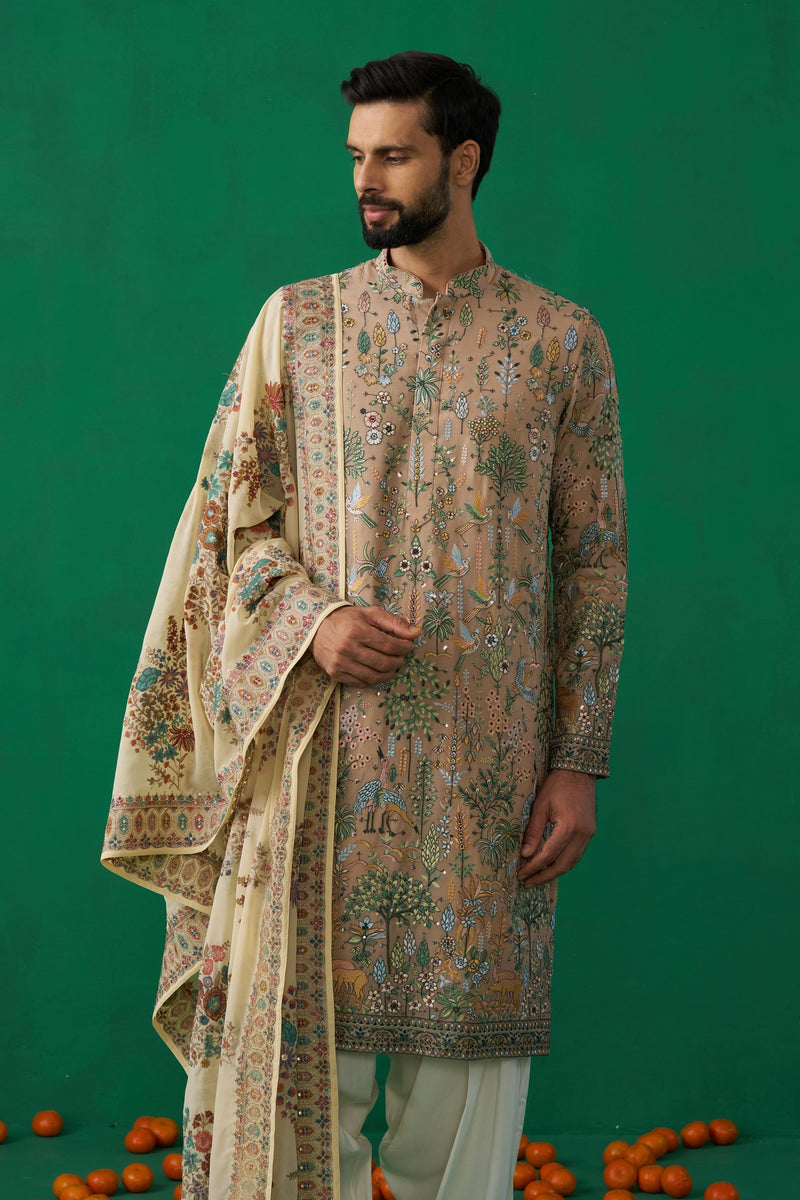 BIRD CHIKU KURTA SET