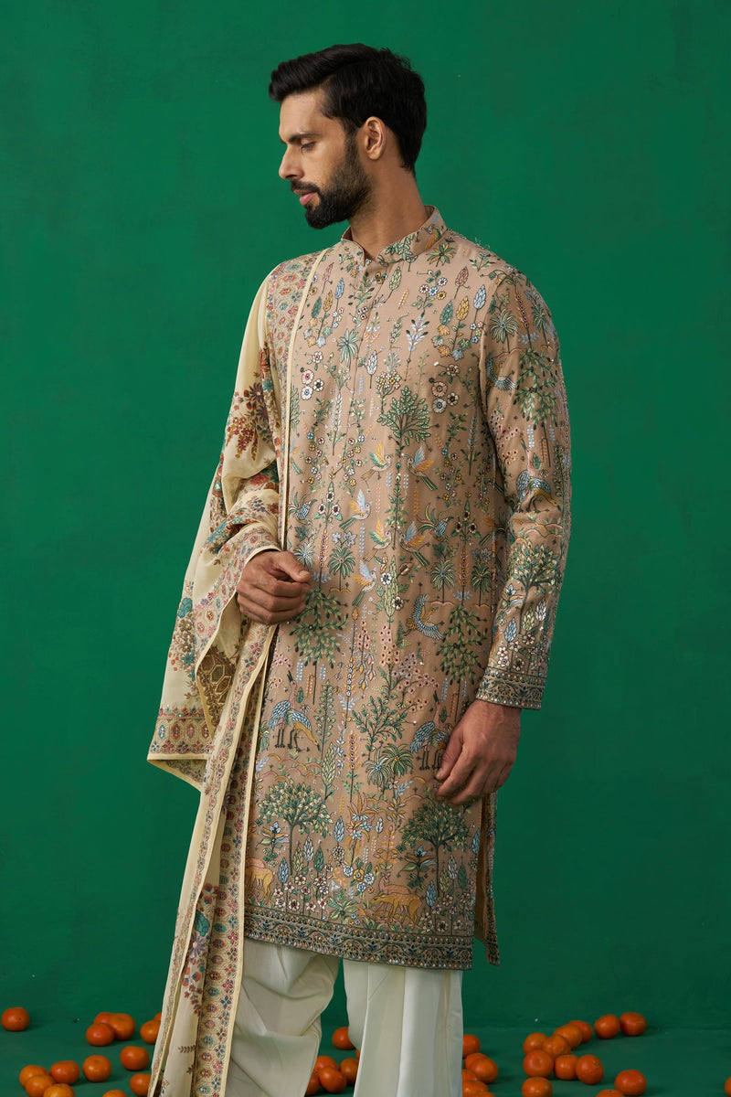 BIRD CHIKU KURTA SET